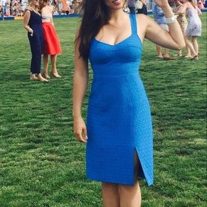 Nanette Laporte Dress 4